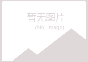 蓝山县元柏能源有限公司